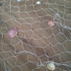 Fischernetz mit Muscheln als Deko