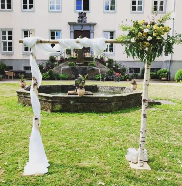 Hintergrund Traubogen Birke