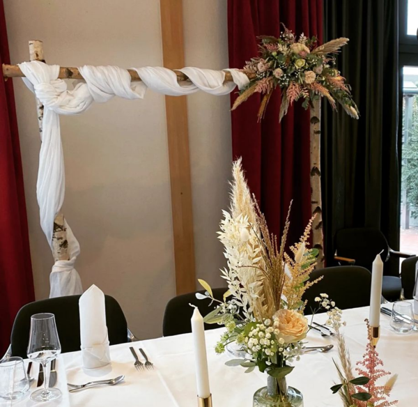 Hintergrund Traubogen Birke – Bild 2